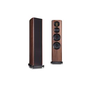 richer sounds floor standing speakers